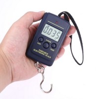 Portable Digital Scale
