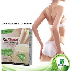 Fat Blaster Ultimate Diet Shake for Weight Loss - 10 Sachets